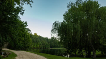Heartfelt family photography in Cinnamon Valley.