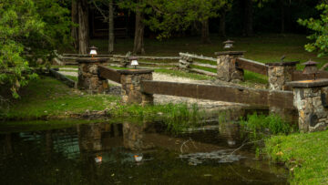 Timeless portrait from the Cinnamon Valley collection.