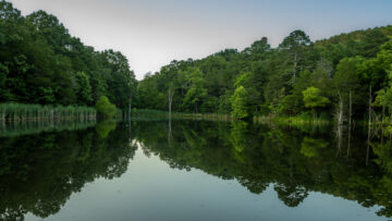 Professional photography showcasing the atmosphere of Cinnamon Valley.