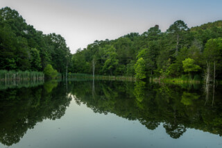 Professional photography showcasing the atmosphere of Cinnamon Valley.