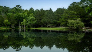 Artistic family photography in the heart of Cinnamon Valley.