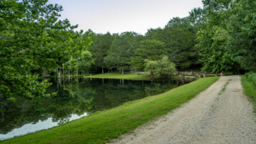 Emotional storytelling through photography at Cinnamon Valley.